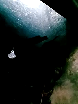 mntzz88 online show from October 31, 2025, 4:24 am