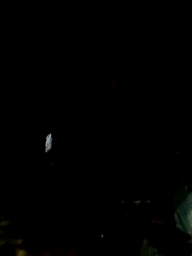 mntzz88 online show from November 1, 2025, 11:07 pm