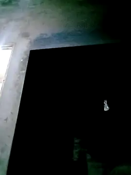 mntzz88 online show from November 4, 2025, 11:53 am