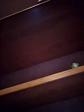 Snapshot of DeeBestEver chatting on November 4, 2025, 1:16 am DeeBestEver online show from November 4, 2025, 1:16 am