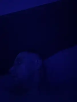 Wearpantyhosenorfolk online show from April 26, 2026, 4:43 am