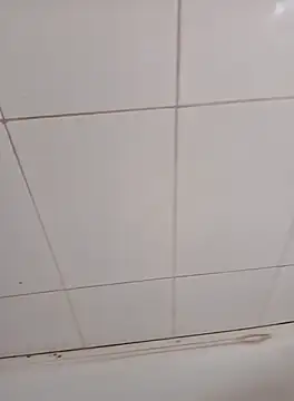 PhoningTint online show from October 12, 2025, 3:22 pm