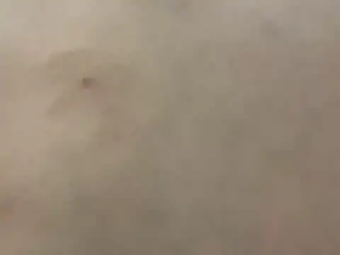 pleasedontpressaredburton online show from February 28, 2026, 3:29 am