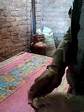 Rani 089 online show from November 13, 2025, 3:49 am