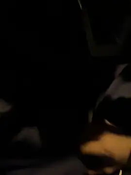 ayrtonmen online show from October 8, 2025, 4:43 am