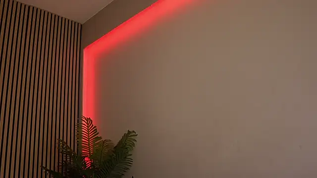 Snapshot of sisi_von_dee chatting on November 11, 2025, 8:53 pm sisi von dee online show from November 11, 2025, 8:53 pm