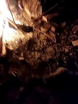 Snapshot of Sikici0734 chatting on October 6, 2025, 5:21 pm Sikici0734 online show from October 6, 2025, 5:21 pm