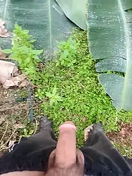 Sikici0734 online show from December 4, 2025, 7:06 am