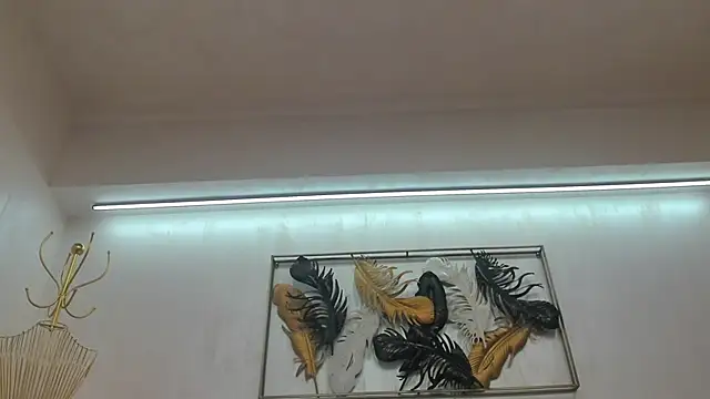 VikaFever online show from October 27, 2025, 5:00 am