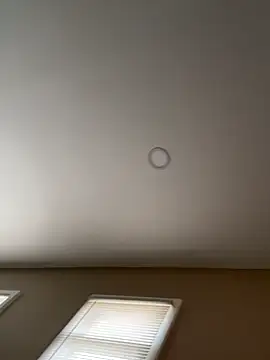 Snapshot of murphdolla chatting on November 29, 2025, 2:42 pm murphdolla online show from November 29, 2025, 2:42 pm