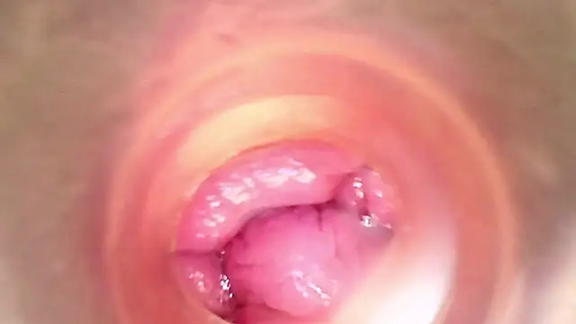 Snapshot of shannon_kinne_ chatting on March 29, 2026, 5:46 pm shannon kinne online show from March 29, 2026, 5:46 pm