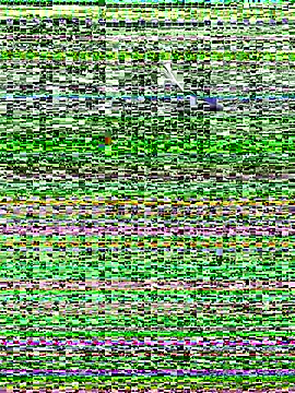 Snapshot of NatashasBoobs chatting on October 8, 2025, 7:55 pm NatashasBoobs online show from October 8, 2025, 7:55 pm