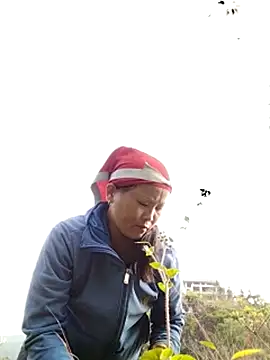 Snapshot of sumaybae chatting on October 28, 2025, 1:09 am sumaybae online show from October 28, 2025, 1:09 am