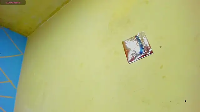 Snapshot of Paulina_new chatting on November 1, 2025, 12:12 am Paulina new online show from November 1, 2025, 12:12 am