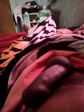 Snapshot of picadme chatting on October 6, 2025, 5:10 pm picadme online show from October 6, 2025, 5:10 pm