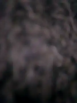 Ripe me online show from November 10, 2025, 10:14 am