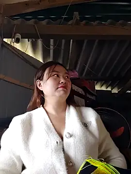 pi-pi-00 online show from December 16, 2025, 2:16 am