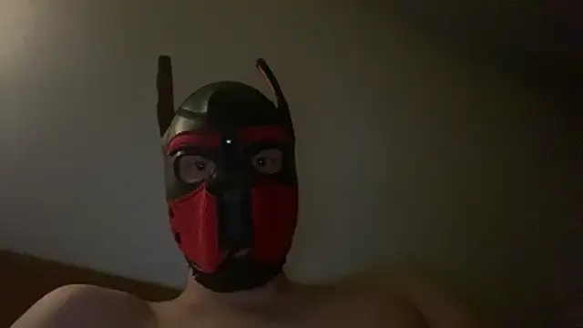 MolleDolle online show from December 16, 2025, 7:13 am