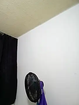 Snapshot of Nelsareth chatting on October 23, 2025, 3:17 am Nelsareth online show from October 23, 2025, 3:17 am