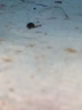 Snapshot of Ut_kanchna chatting on October 26, 2025, 12:22 pm Ut kanchna online show from October 26, 2025, 12:22 pm