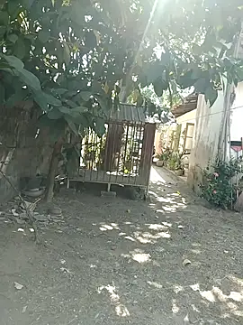 Snapshot of SL_BEAR chatting on March 26, 2026, 4:18 am SL BEAR online show from March 26, 2026, 4:18 am