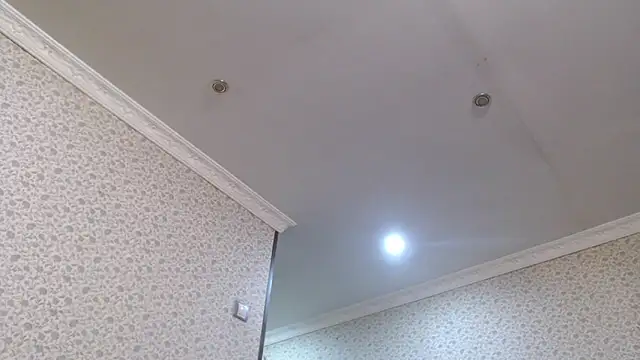 maybe doll online show from October 21, 2025, 8:20 pm