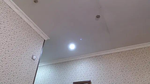 maybe doll online show from October 23, 2025, 9:46 pm