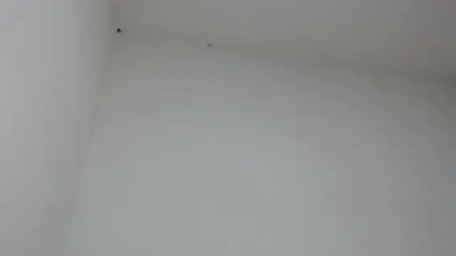 drako monster online show from January 31, 2026, 9:46 pm