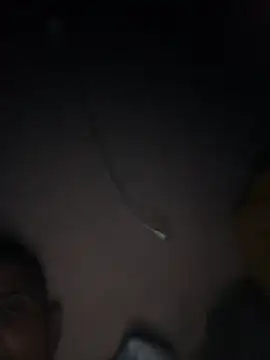 jitsu1988 online show from November 14, 2025, 3:27 am