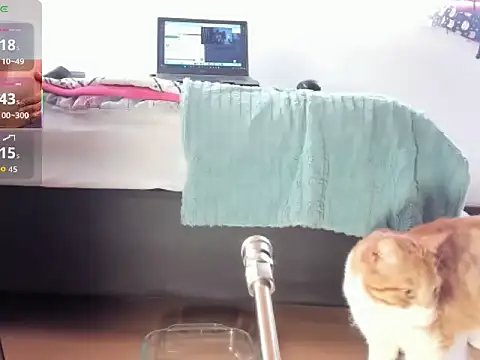 Snapshot of __Aragon__ chatting on November 4, 2025, 2:38 pm Aragon online show from November 4, 2025, 2:38 pm