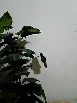 Jessica-03 online show from March 4, 2026, 4:57 pm