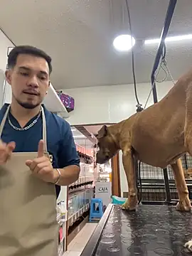 Leonardmoppet online show from November 5, 2025, 7:14 pm