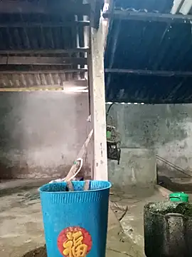 Myzak- online show from March 1, 2026, 12:01 am