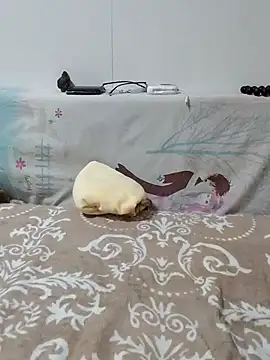 Snapshot of caige8888 chatting on November 17, 2025, 11:05 am caige8888 online show from November 17, 2025, 11:05 am