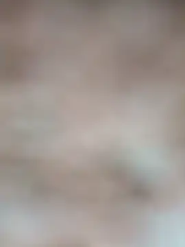 Rajni chauhan online show from October 29, 2025, 5:04 pm