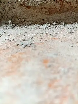 Rajni chauhan online show from November 2, 2025, 8:11 pm