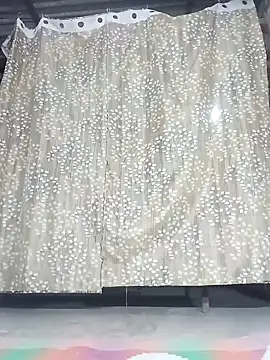 Rajni chauhan online show from April 13, 2026, 4:12 pm