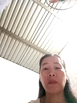 Snapshot of tabby-cat11 chatting on November 3, 2025, 1:51 am tabby-cat11 online show from November 3, 2025, 1:51 am