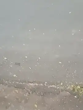 Snapshot of roludao_fun chatting on February 23, 2026, 9:34 pm roludao fun online show from February 23, 2026, 9:34 pm