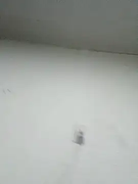 Nonname3 online show from November 11, 2025, 5:18 am