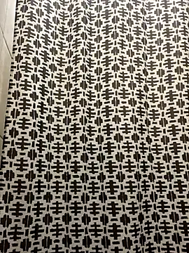 solodrive online show from November 14, 2025, 11:31 am