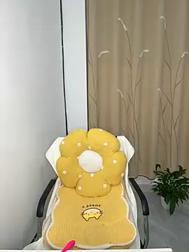 zxcvbnmqwas213 online show from November 9, 2025, 5:22 pm