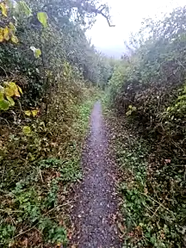 bbyxklaus online show from October 20, 2025, 11:43 am