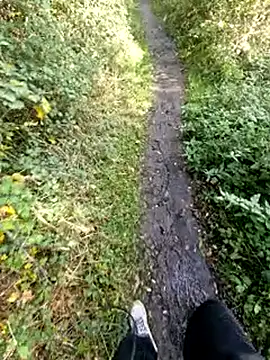 bbyxklaus online show from November 2, 2025, 12:18 pm