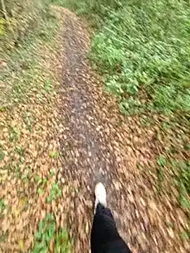 bbyxklaus online show from November 6, 2025, 12:28 pm