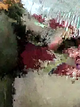 Snapshot of sexy_6hvhhh chatting on October 26, 2025, 12:44 pm sexy 6hvhhh online show from October 26, 2025, 12:44 pm