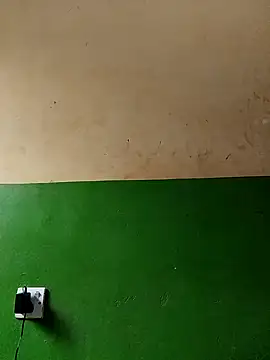 cutepussy356 online show from November 1, 2025, 6:15 am