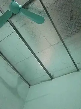  LAN  online show from October 24, 2025, 1:35 am