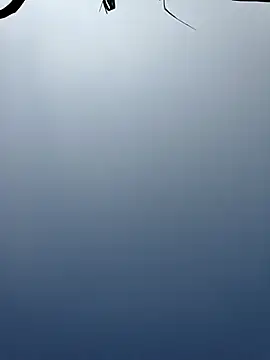 Snapshot of Menu_x chatting on January 13, 2026, 8:08 am Menu x online show from January 13, 2026, 8:08 am