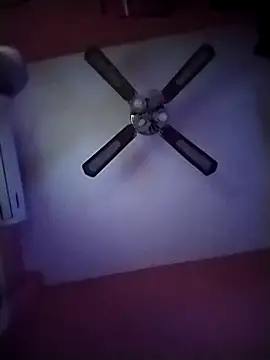 Danii2005 online show from November 12, 2025, 6:52 pm